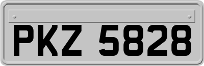 PKZ5828
