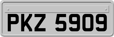 PKZ5909