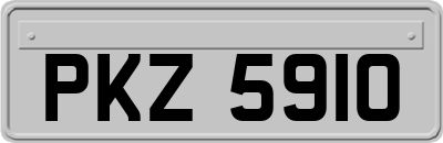 PKZ5910