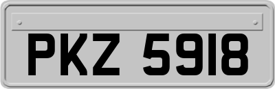 PKZ5918