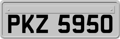 PKZ5950