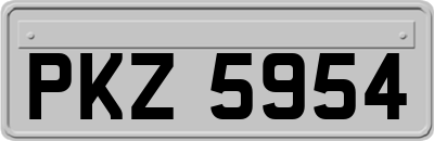 PKZ5954