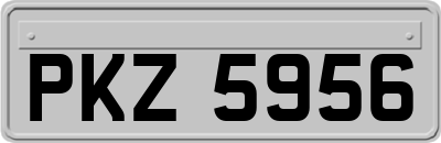 PKZ5956