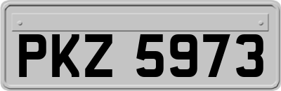 PKZ5973