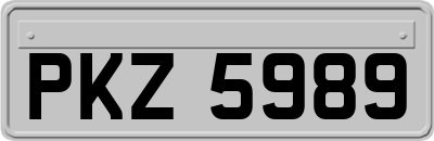PKZ5989