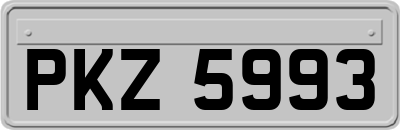 PKZ5993