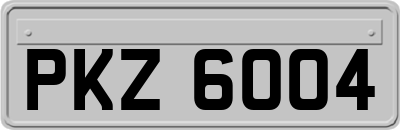 PKZ6004