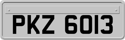 PKZ6013