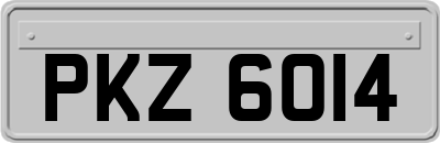 PKZ6014