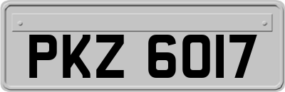 PKZ6017