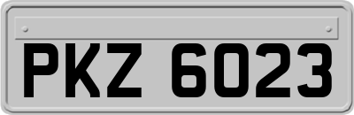 PKZ6023