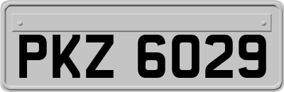 PKZ6029