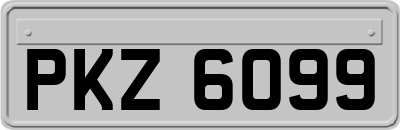 PKZ6099