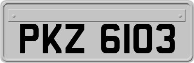 PKZ6103