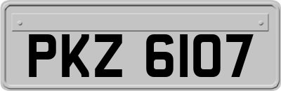 PKZ6107
