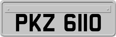 PKZ6110