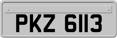 PKZ6113
