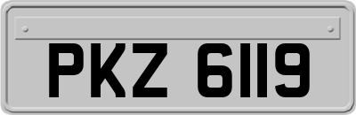 PKZ6119