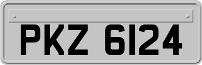 PKZ6124