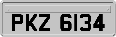 PKZ6134