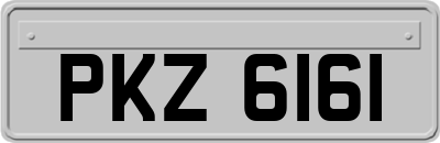 PKZ6161