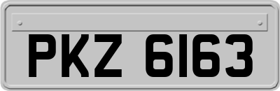 PKZ6163