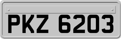 PKZ6203