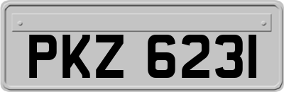 PKZ6231