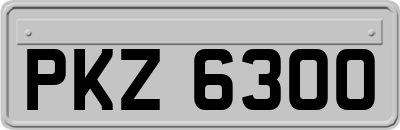 PKZ6300