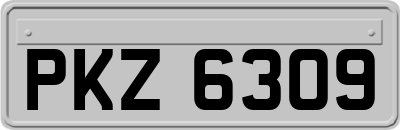 PKZ6309