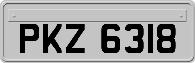 PKZ6318