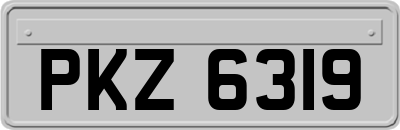 PKZ6319