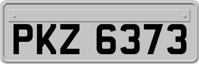 PKZ6373
