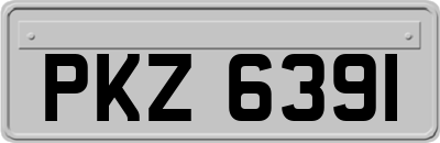 PKZ6391