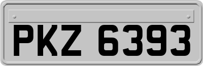 PKZ6393
