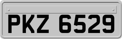PKZ6529