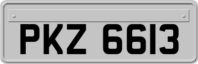 PKZ6613