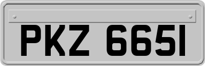 PKZ6651