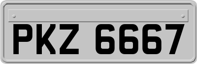 PKZ6667