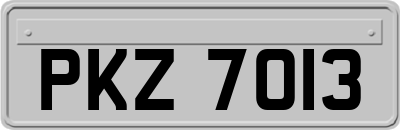 PKZ7013