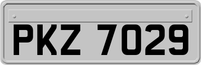 PKZ7029