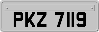 PKZ7119