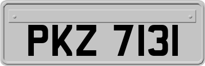 PKZ7131