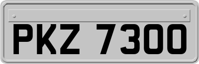 PKZ7300