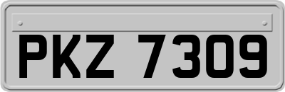 PKZ7309