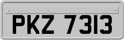 PKZ7313