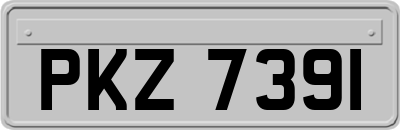 PKZ7391