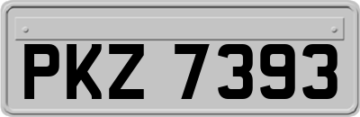 PKZ7393