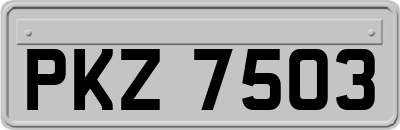 PKZ7503