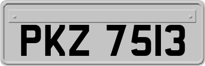 PKZ7513